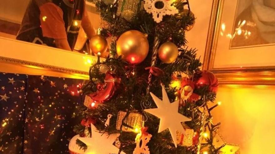 Alberi di Natale già addobbati «C’è bisogno di aria di festa»
