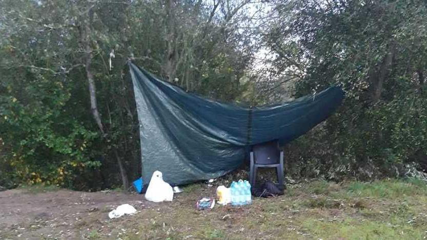 In quattro multati perché trovati nel bosco dello spaccio