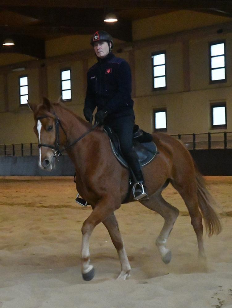 I carabinieri testano i cavalli per il Reggimento 