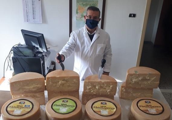 La sostenibile leggerezza del pecorino 