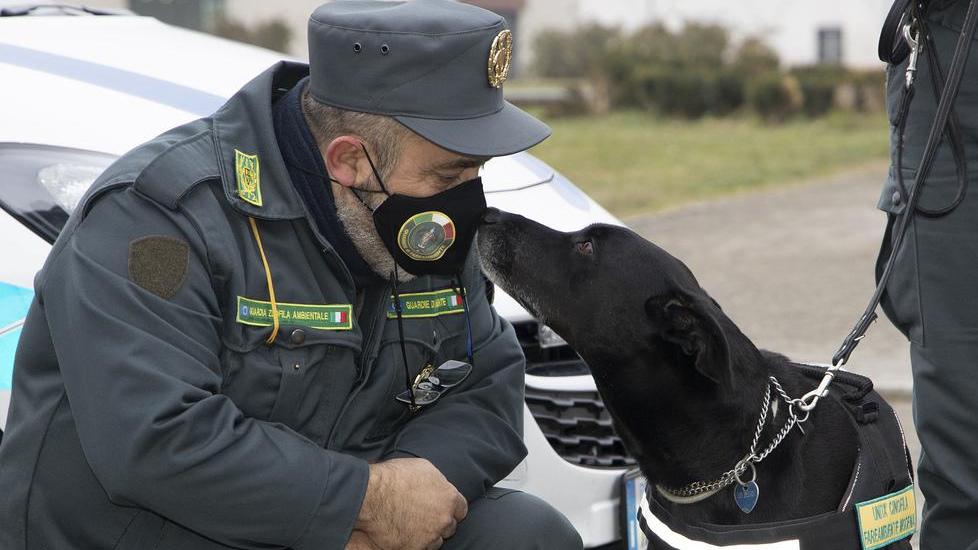 Modena Ziva Da cane abbandonato a guardia zoofila