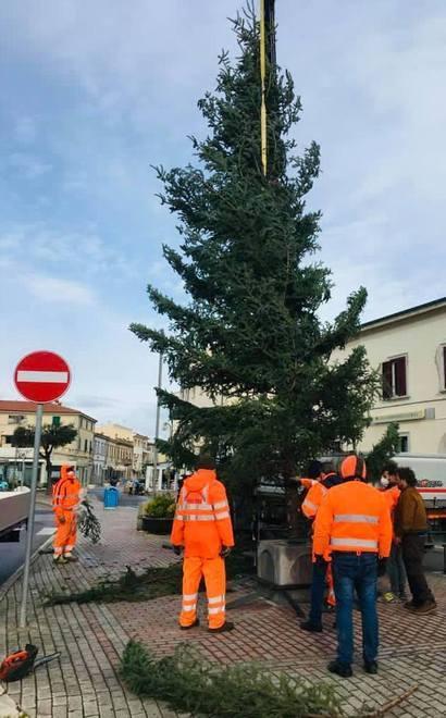 Maxi albero in piazza 