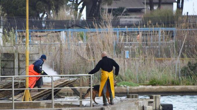 Pescatori, fatturato giù di 600mila euro