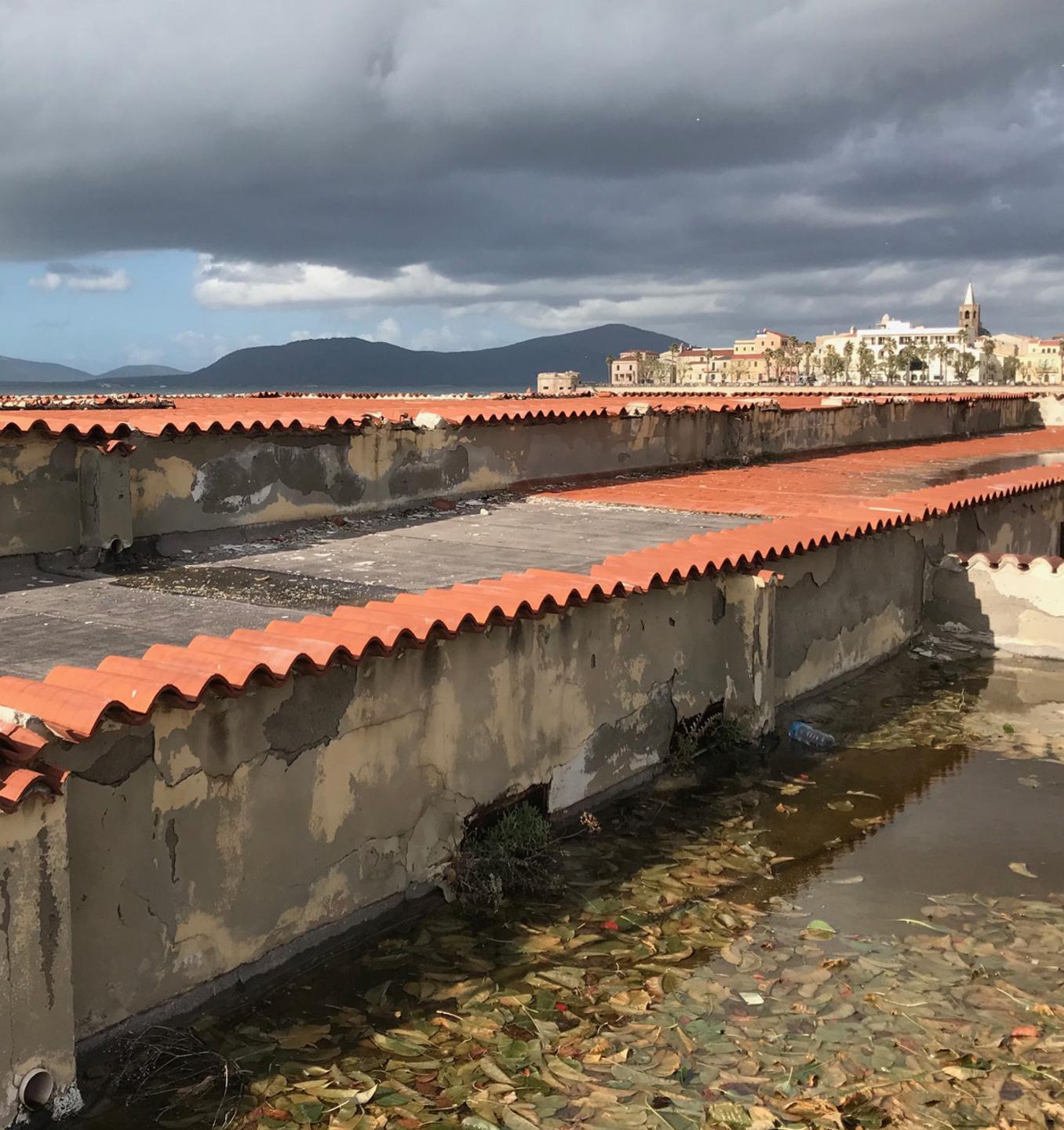 «Era un simbolo del turismo il Caval Marì torni ad esserlo» 