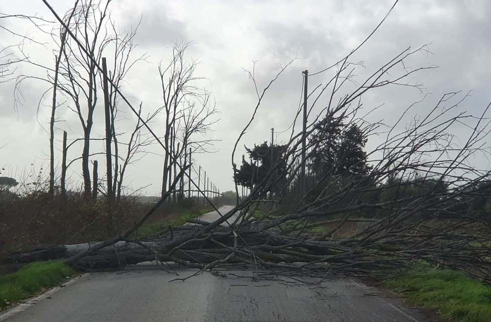 Albero abbattuto dal vento alle Case