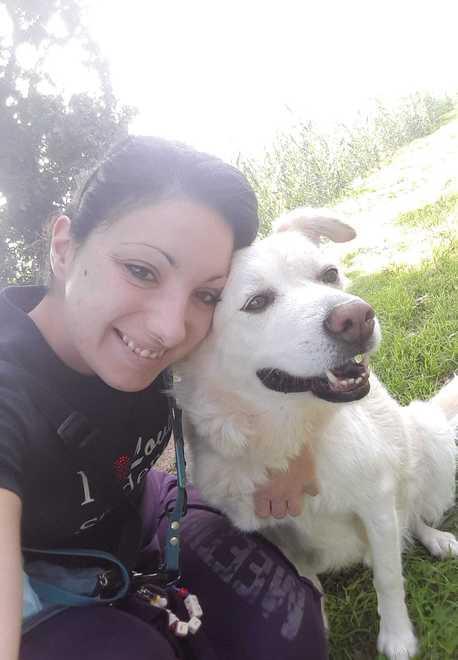 C’è una polpetta nel prato e il cane la mangia: «Romeo sta bene. Ma ho avuto tanta paura» 