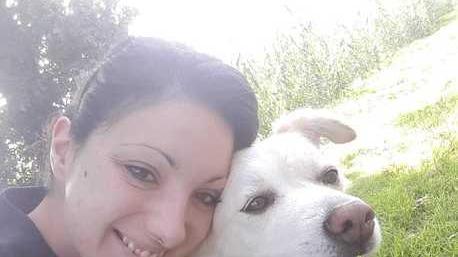 C’è una polpetta nel prato e il cane la mangia: «Romeo sta bene. Ma ho avuto tanta paura»
