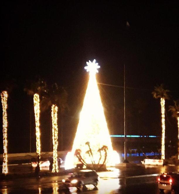Albero di Natale acceso e si moltiplicano le iniziative solidali