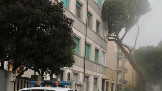 Salvetti: «Peggio di così solo l’alluvione» La protezione civile supera un duro test