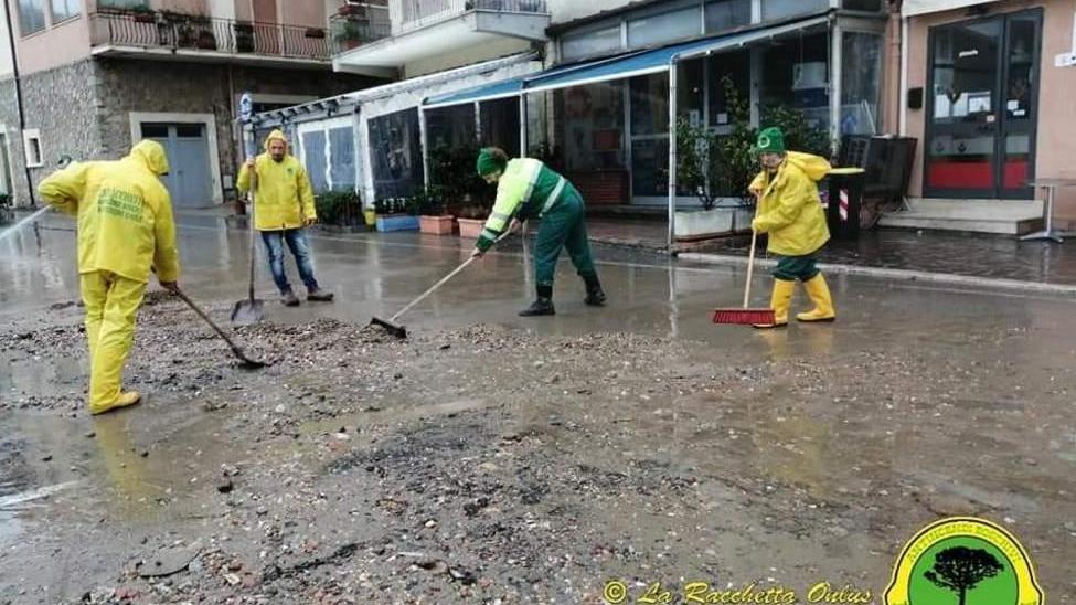 Vento forte e pioggia battente Alberi tranciano linea elettrica