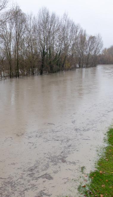 Il Panaro sfonda l’argine Il Reno in piena fa paura: aperte le paratie del Cavo 
