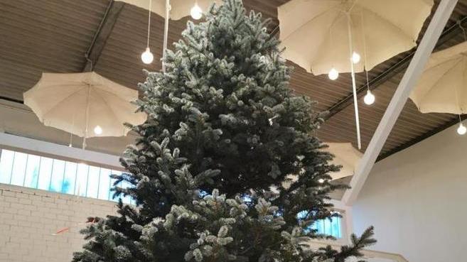 Un albero per portare un messaggio di speranza
