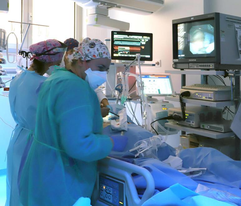 Tregua, zero morti nel Ferrarese Ma ci sono 103 nuovi contagi 