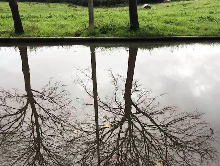 Pioggia e tombini ostruiti le strade si trasformano in laghi