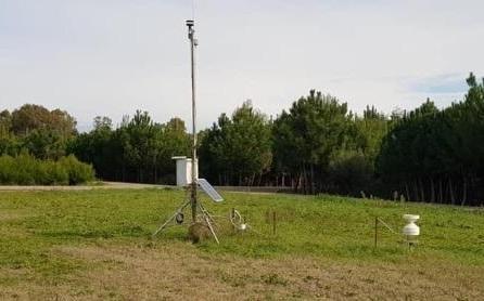 Biodiversità, un progetto nel vivaio Sant’Antonio 