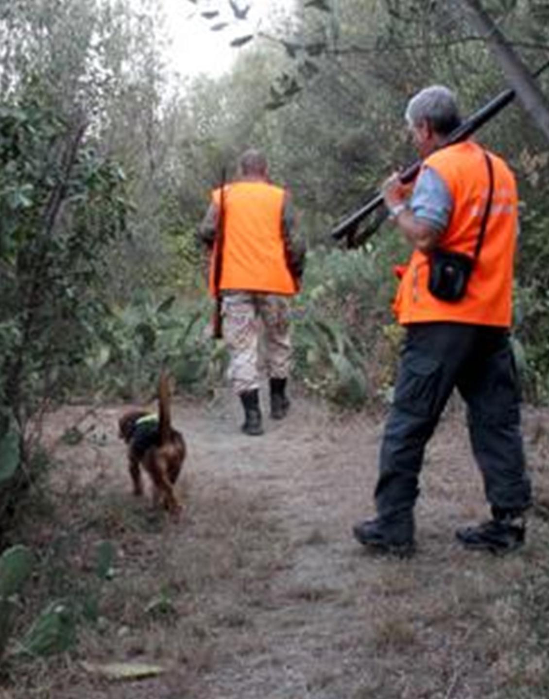 La Regione riapre la caccia Il governo: violate la legge 