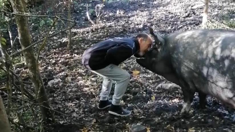 Giustiziata con un colpo d’arma da fuoco: «La mia Cioccia vittima di un gesto crudele»