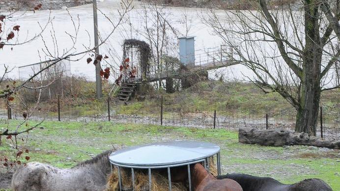 Tra Appennino e pianura ansia e fatica