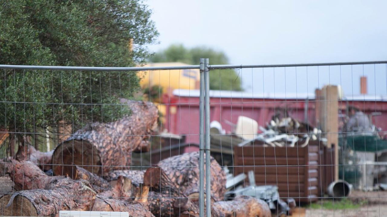 «A Capo Caccia devastato un habitat unico»