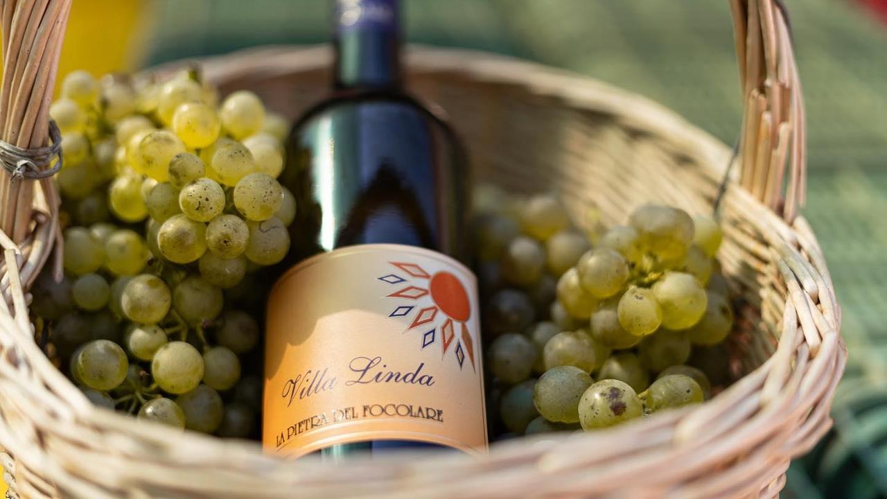 Il premio “Quattro viti” alla Pietra del Focolare per il Vermentino 2019