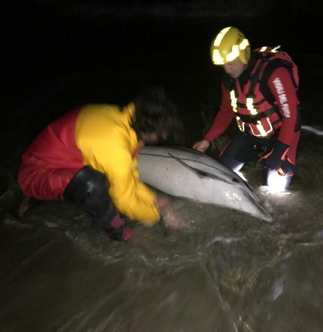 «Parto in acqua a Cecina Villamarina mortificata»