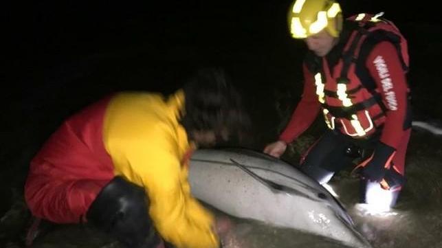 «Parto in acqua a Cecina Villamarina mortificata»