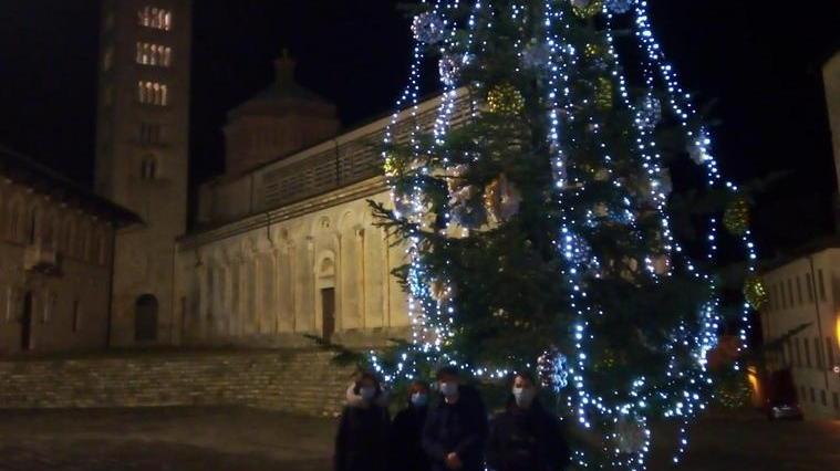 L’albero e la luminaria per augurare buon Natale