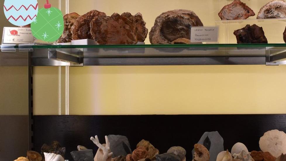 Il bookshop del museo di Calci aperto per le feste