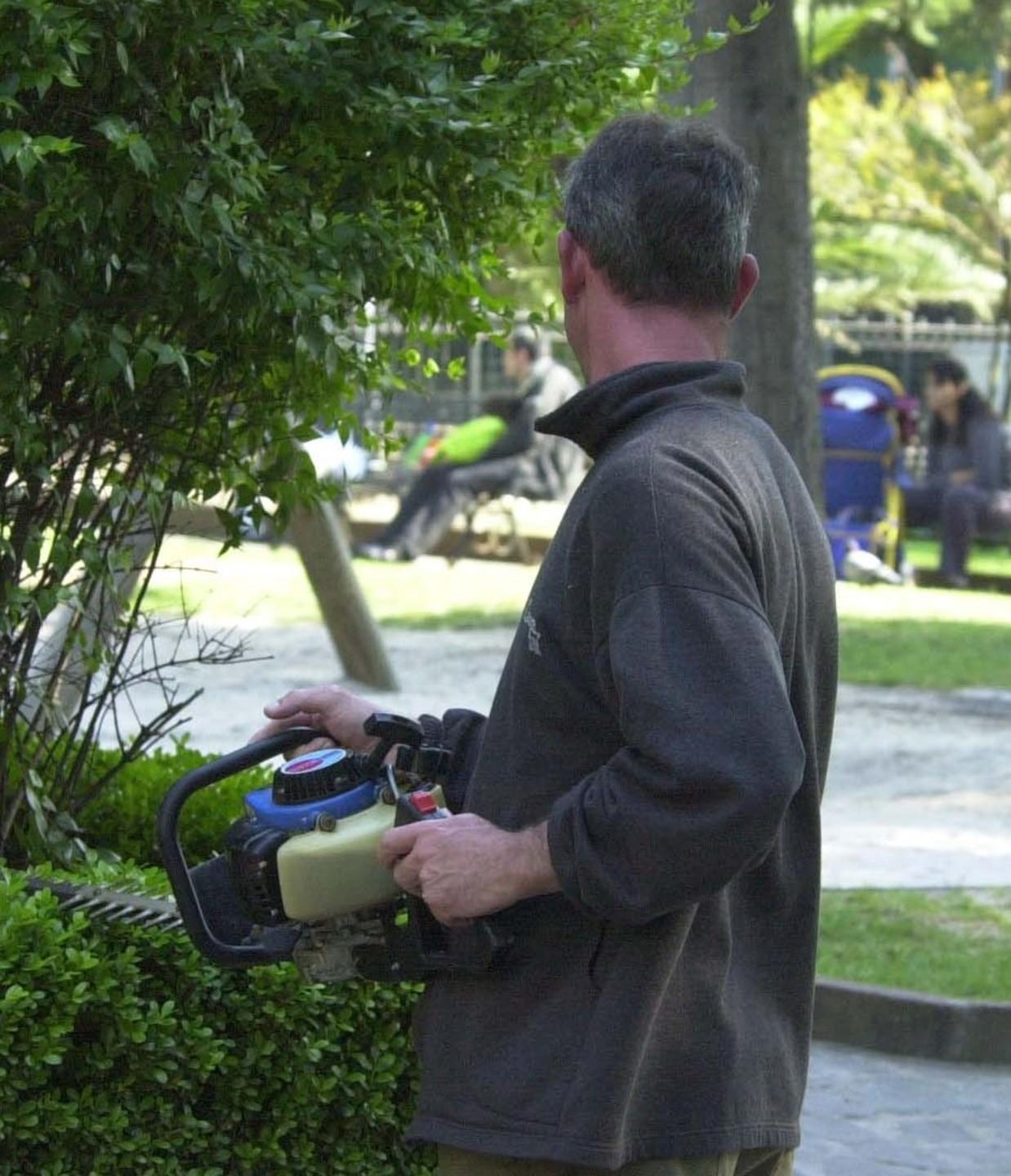 Cantieri, graduatorie ed elenchi