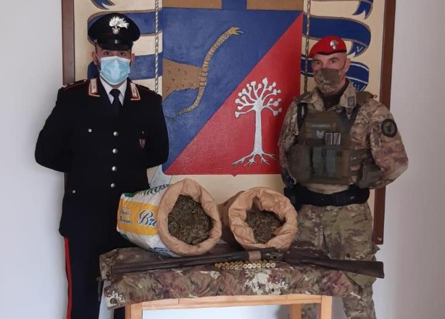 Santa Maria Coghinas, nell’azienda un fucile e due chili di droga 