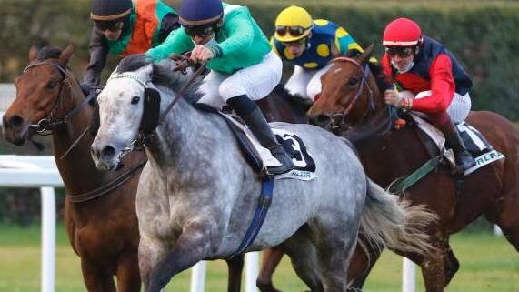 San Rossore, nel premio Astolfina il più veloce di tutti è Yakima