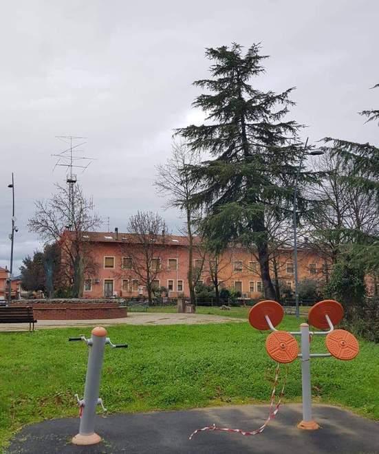 L’albero “pendente” preoccupa i cittadini 
