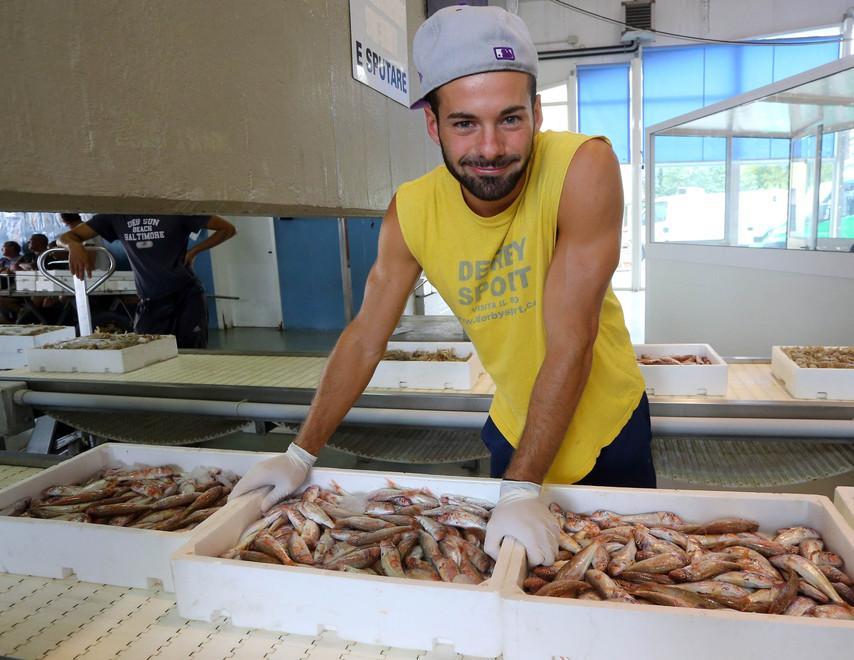 Meno giornate di pesca in mare «Dall’Europa proposta folle» 