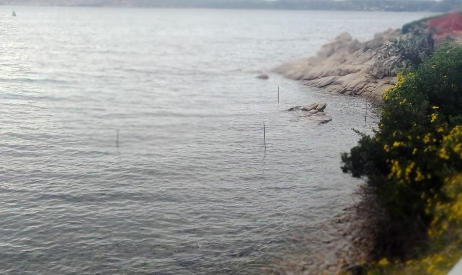La Maddalena, sos per la posidonia vicina allo scoglio Baleno