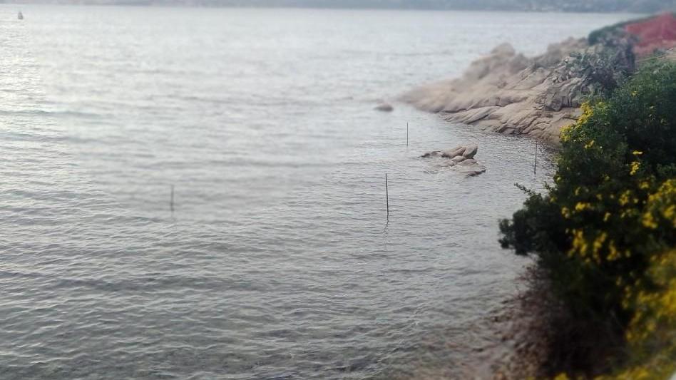 La Maddalena, sos per la posidonia vicina allo scoglio Baleno