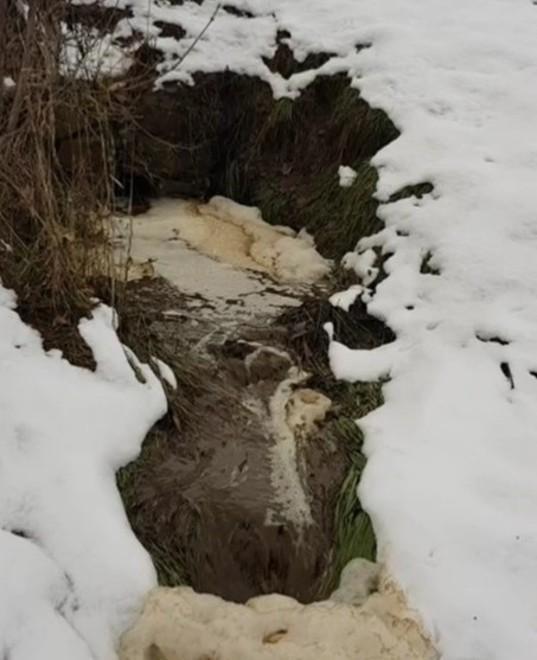 Montefiorino. Sversa liquami nel torrente L’assessore: «Punitelo subito» 