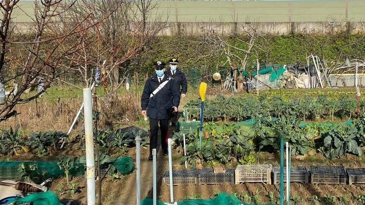 Mistero in un campo sulla Fi-Pi-Li: trovate due valigie con resti umani