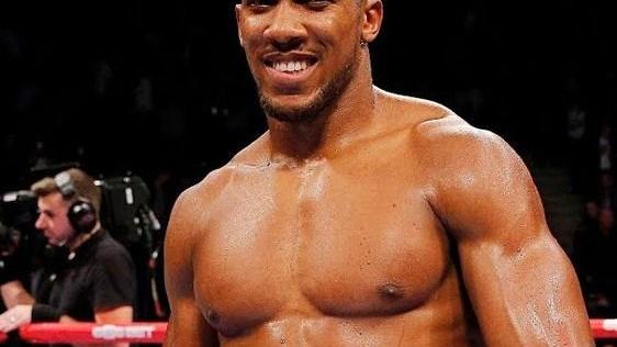 Oggi Joshua contro Pulev per il mondiale dei massimi
