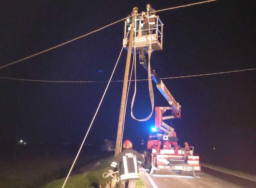 Viabilità a rischio per un palo pericolante In azione i pompieri
