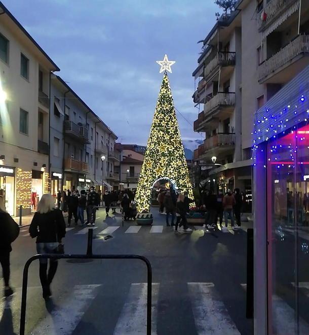 Marina e le luminarie, polemiche sull’albero di via Rinchiosa