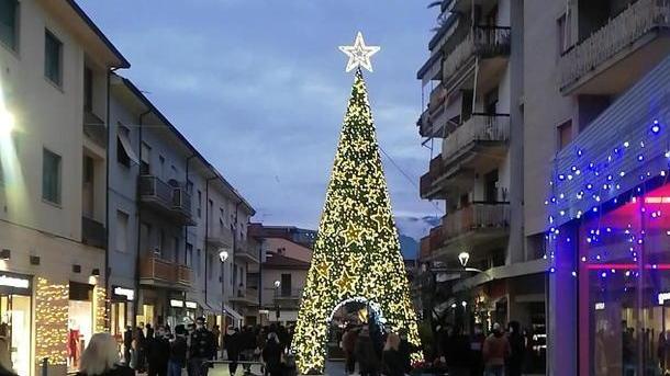 Marina e le luminarie, polemiche sull’albero di via Rinchiosa