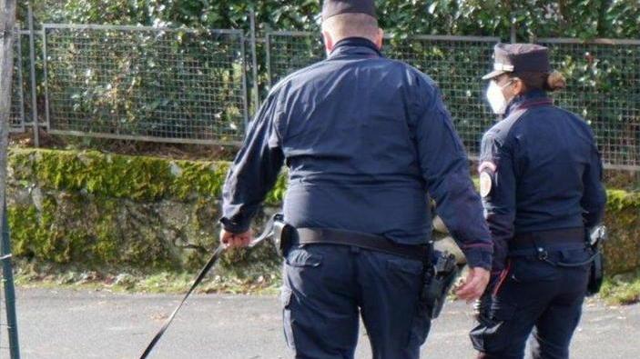 Zeri, tre cani e un gatto avvelenati i carabinieri indagano con “Alma”