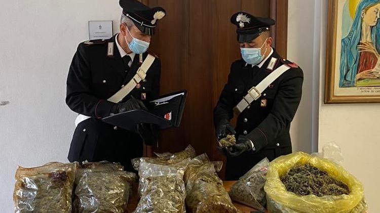 Marijuana in falegnameria in libertà due dei 3 arrestati