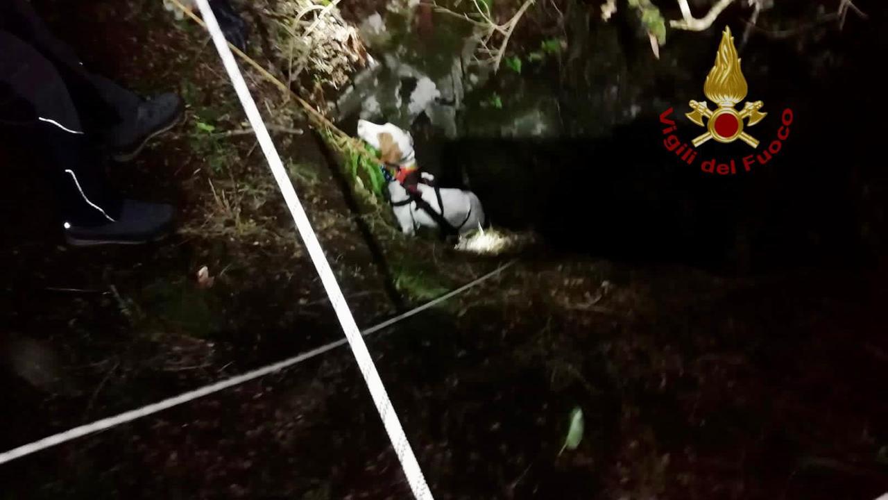 Armungia, tre cani precipitano in un dirupo: salvati dai vigili del fuoco