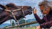Urlo dei Venti torna a correre e vincere