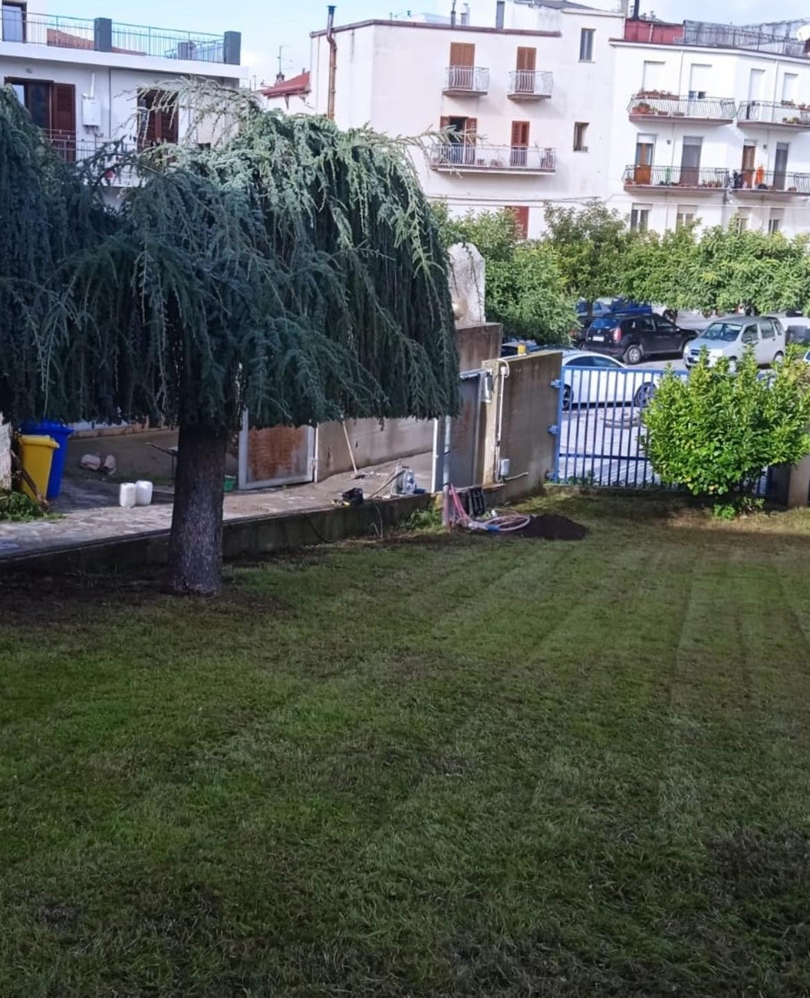 Piazza S. Giovanni e biblioteca Satta: operazione verde
