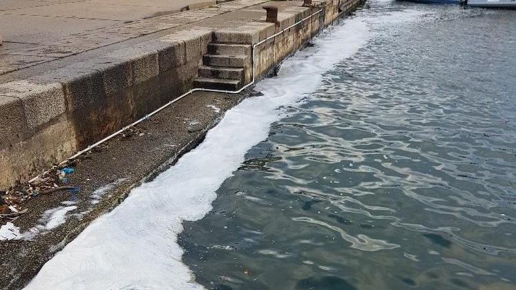Schiuma bianca al porto di Alghero, l’allarme del Wwf