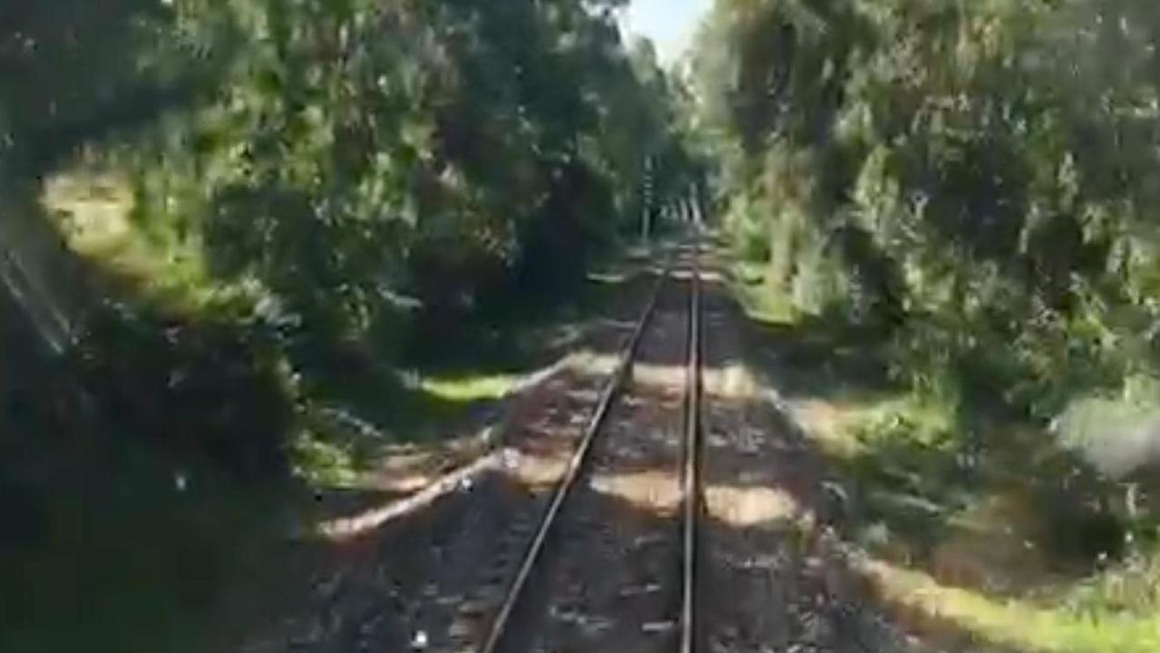 Alberi sui binari della Sassari-Alghero, esposto in Procura