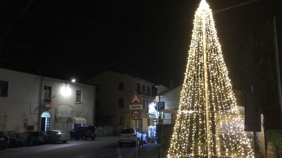 Quattro maxi alberi di Natale