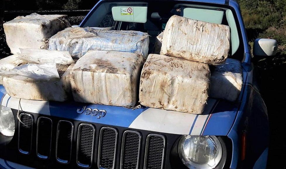 Maxi operazione anti-spaccio in pineta: 4 arresti, 21 denunce 